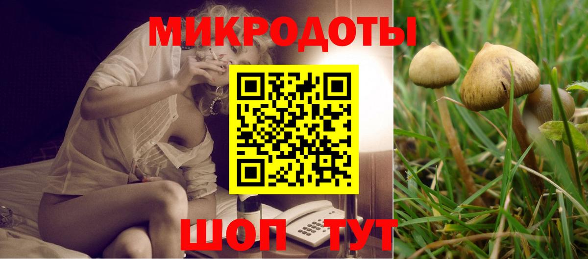 Ликино-Дулёво  закладки  Вход с VPN  Галлюциногенные грибы Psilocybe 